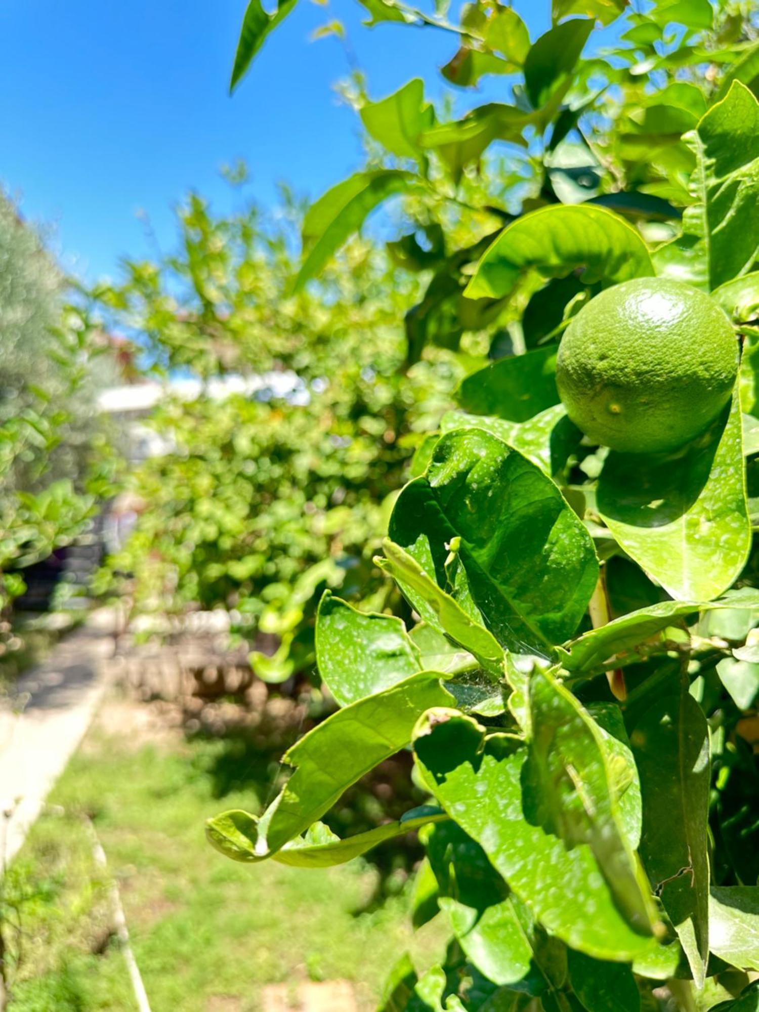 Kaleici Aparts Antalya Villa Exterior photo